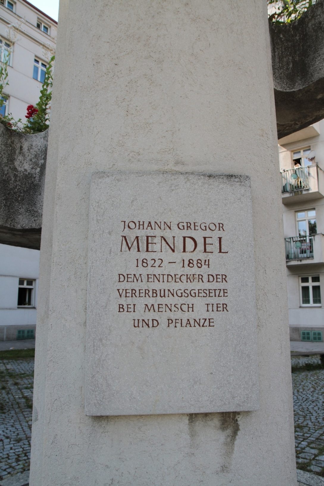 Mendel and Tschermak memorial, _Vienna - 03.JPG